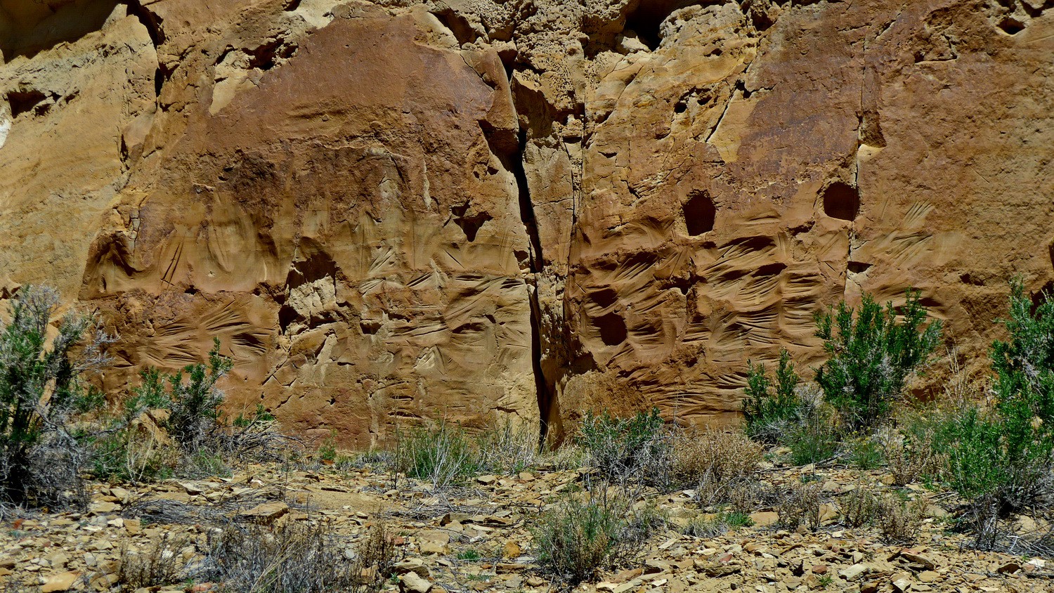 Incisions on the Petroglyph trail